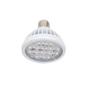 [L.STORE]LED 15W PAR30 램프(주광색)